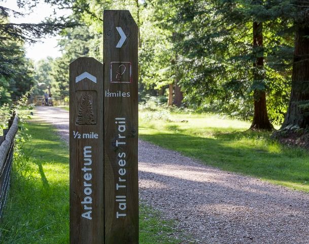 What you'll see on the scenic drive from Waggon Lymington to Foresters Frogham