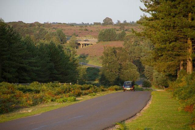 Towards the high plains of the north of the New Forest on the scenic driving route from Lymington to Frogham
