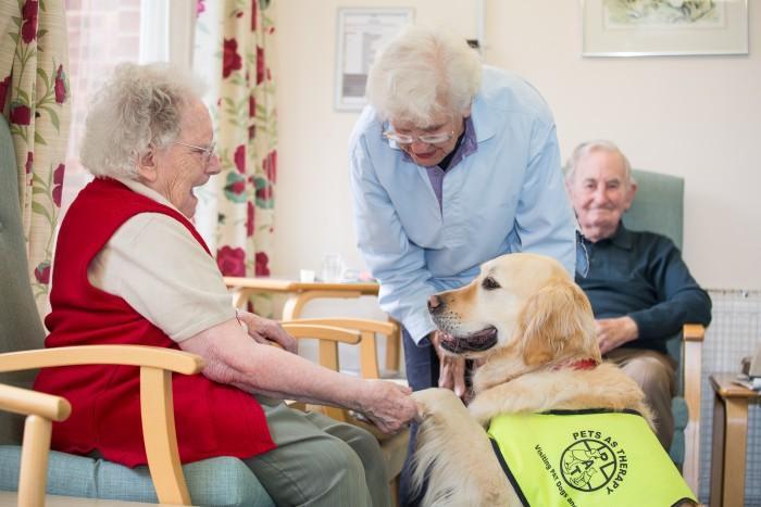 Forest Oaks 2 700x467