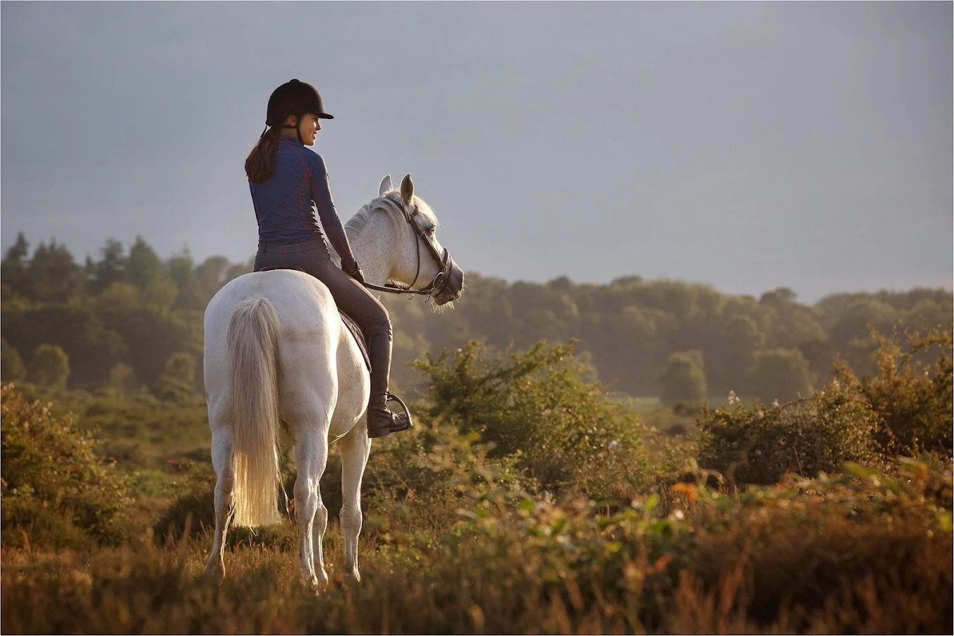 Horse riding in the New Forest