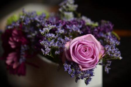 new forest aromatics Rose essential oil