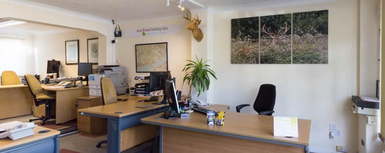 new forest holiday lets 1 800