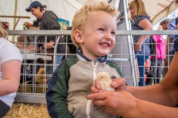 new forest show children chicks 600