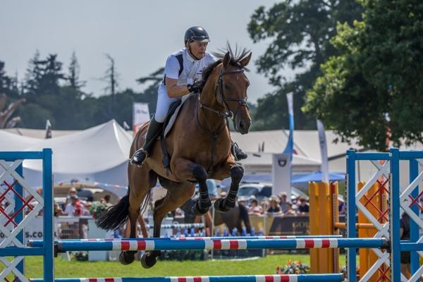 new forest show show jumping 600