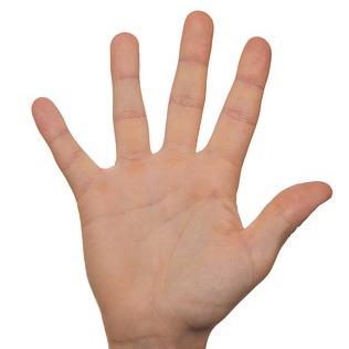 Ever thought about volunteering but not sure where to start?