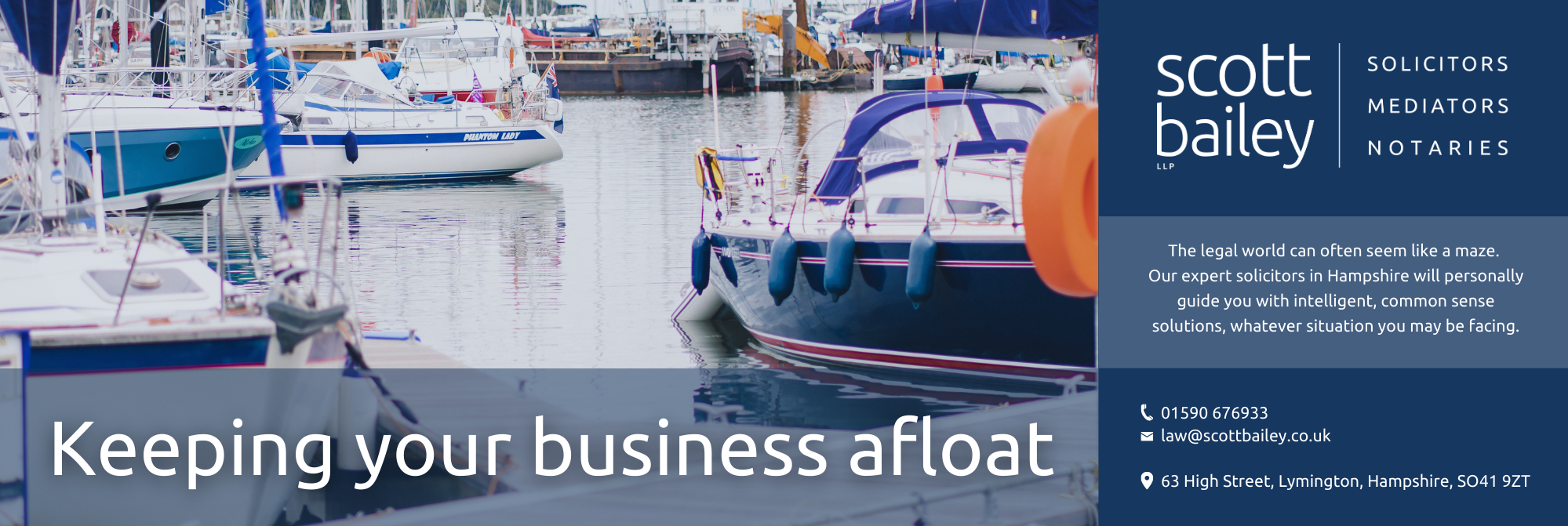 Trees in forest with words Helping you see the wood for the trees