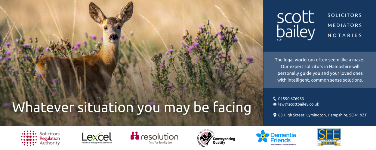 Whatever situation you may be facing - Scott Bailey can help