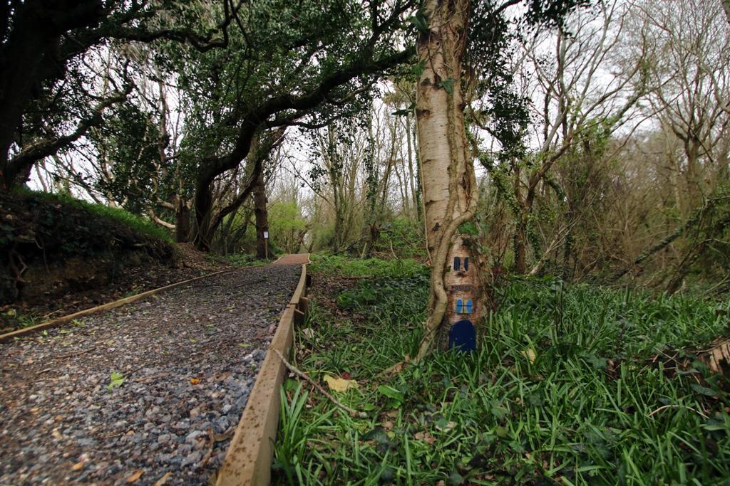 New woodland walk and nature trail in Shorefield Country Park Milford on Sea 
