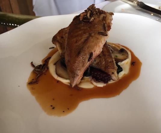 honey roasted Alresford partridge served with roasted chestnut mushrooms, on a bed of white bean puree with local greens and lightly picked blackberrie