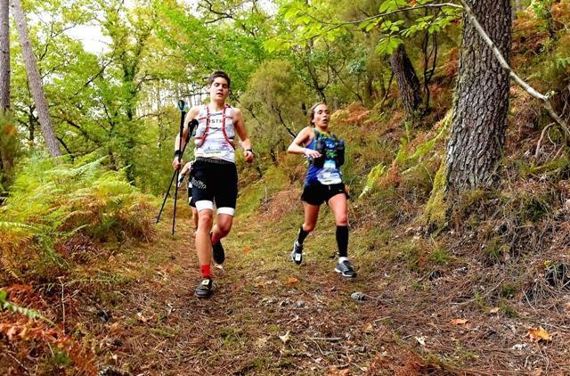 Thesis lymington image