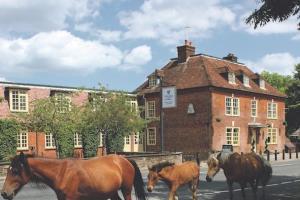 The Bell Inn - New Forest