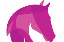Tilefield Equestrian | Facility Hire | Holiday Stabling