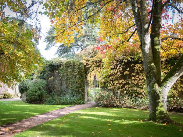 Careys Manor Hotel & SenSpa Garden at Careys Manor Hotel & SenSpa