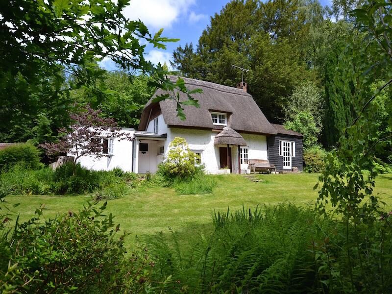 New Forest Cottages