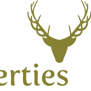 New Forest Properties