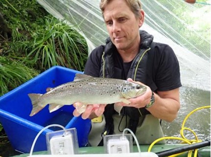 An evening talk with Dom Longley: The rivers and streams of the New Forest, and the fish that live in them