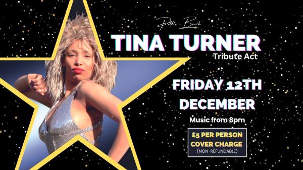 Tina Turner Tribute