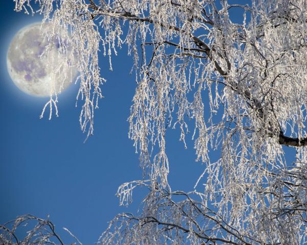 Sen Sound Sessions: Rest & Reflect with the Snow Moon Sen Sound Sessions: Rest & Reflect with the Snow Moon