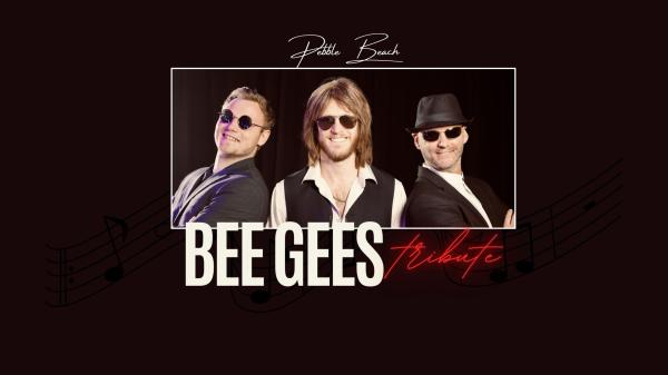 Bee Gees Trio Tribute Night