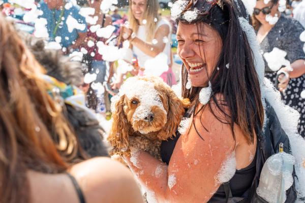 Dogstival Festival