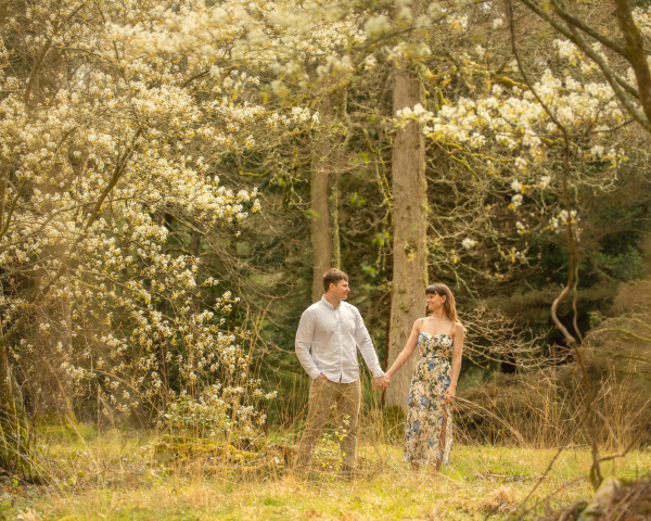 Couple in the forest