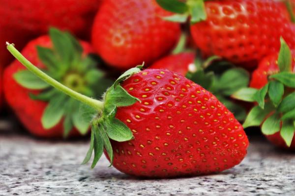 Strawberry Picking at Goodall's