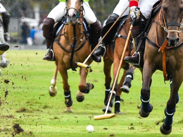 Charity Polo event 2026