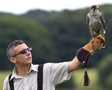 Falconry Days