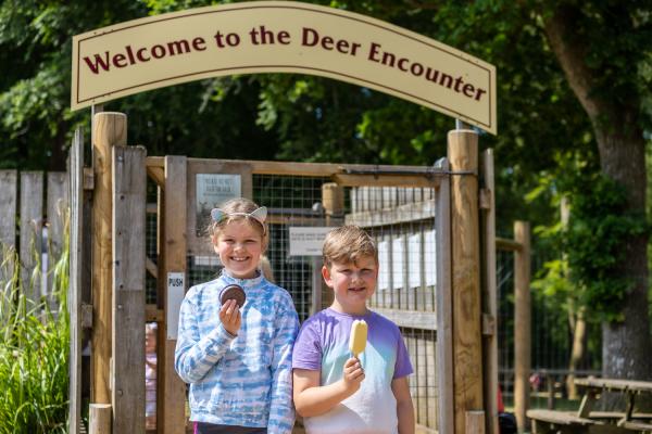 Summer at New Forest Wildlife Park