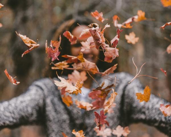 The Midlife Shift and Beyond: A Menopause Workshop