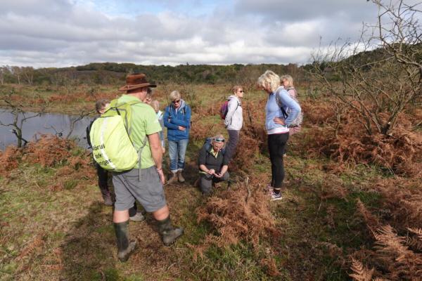 New Forest Walking Festival