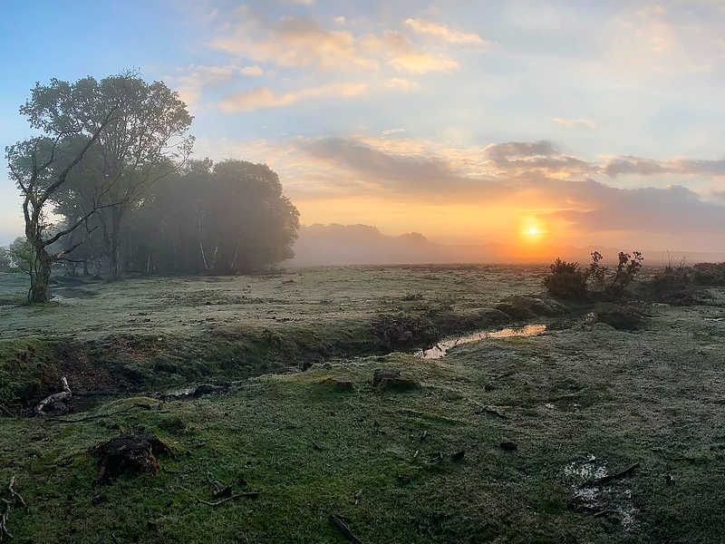 Bolderwood Kids Wildlife Adventure