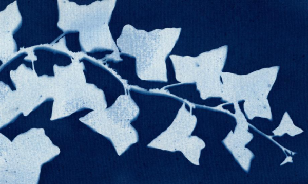CYANOTYPE PHOTOGRAPHY