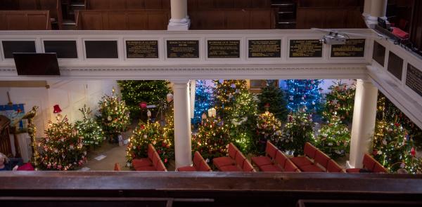 Christmas Tree Festival 2024