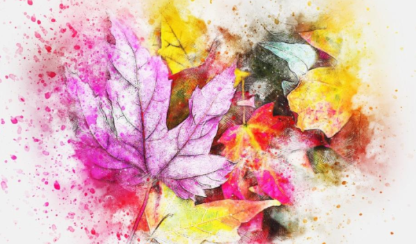 Nature Journaling Workshop