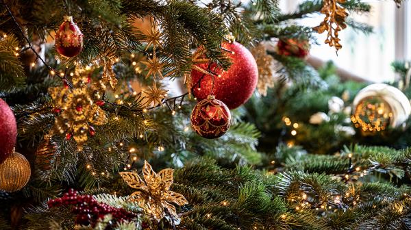 Christmas Shopping at Rhinefield House